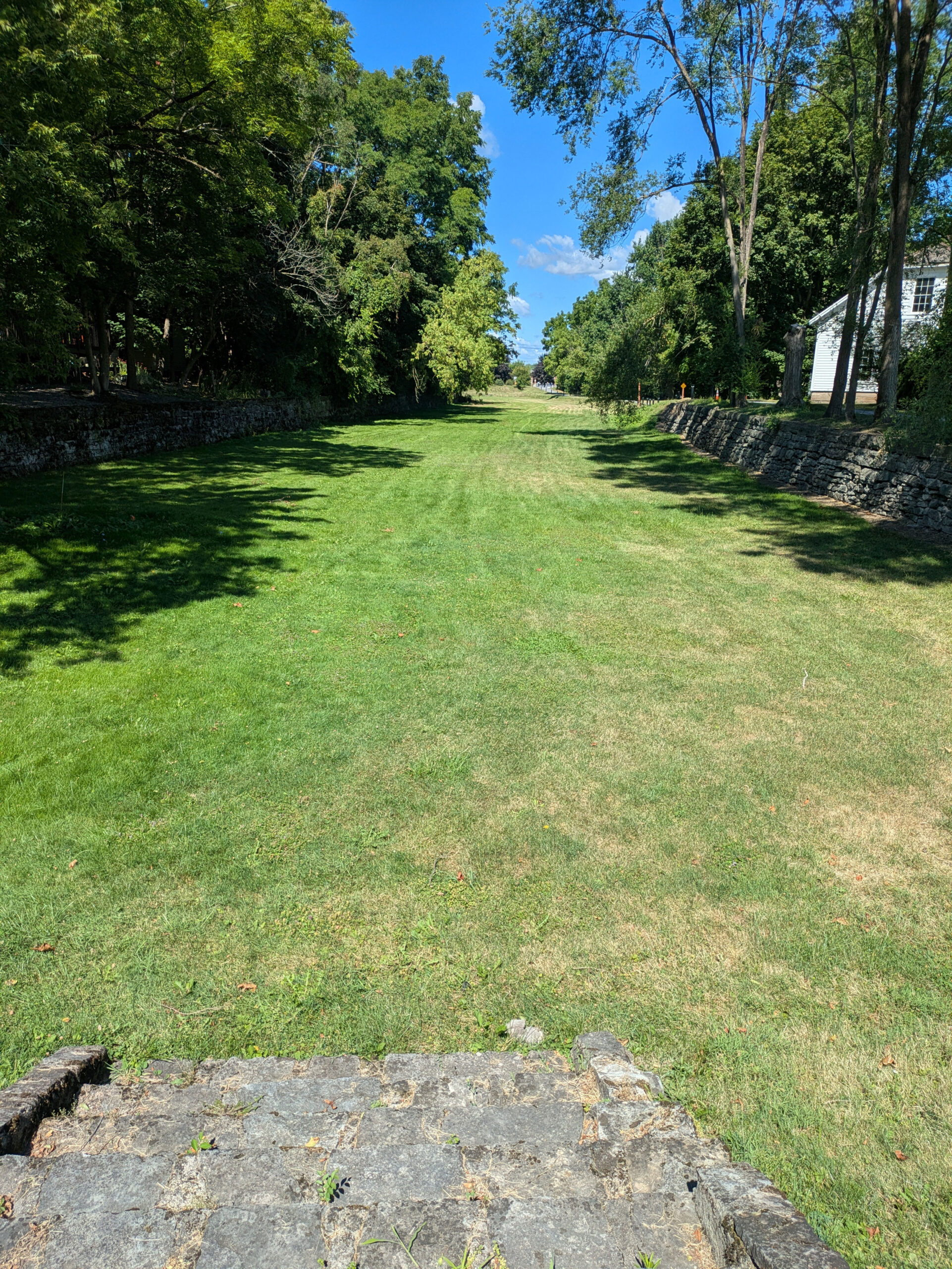 Old canal touch grass