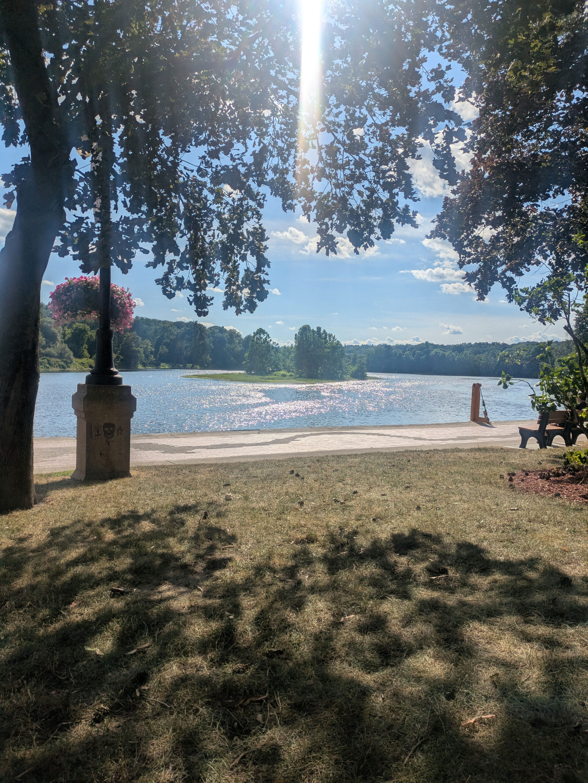 Waterford touching grass