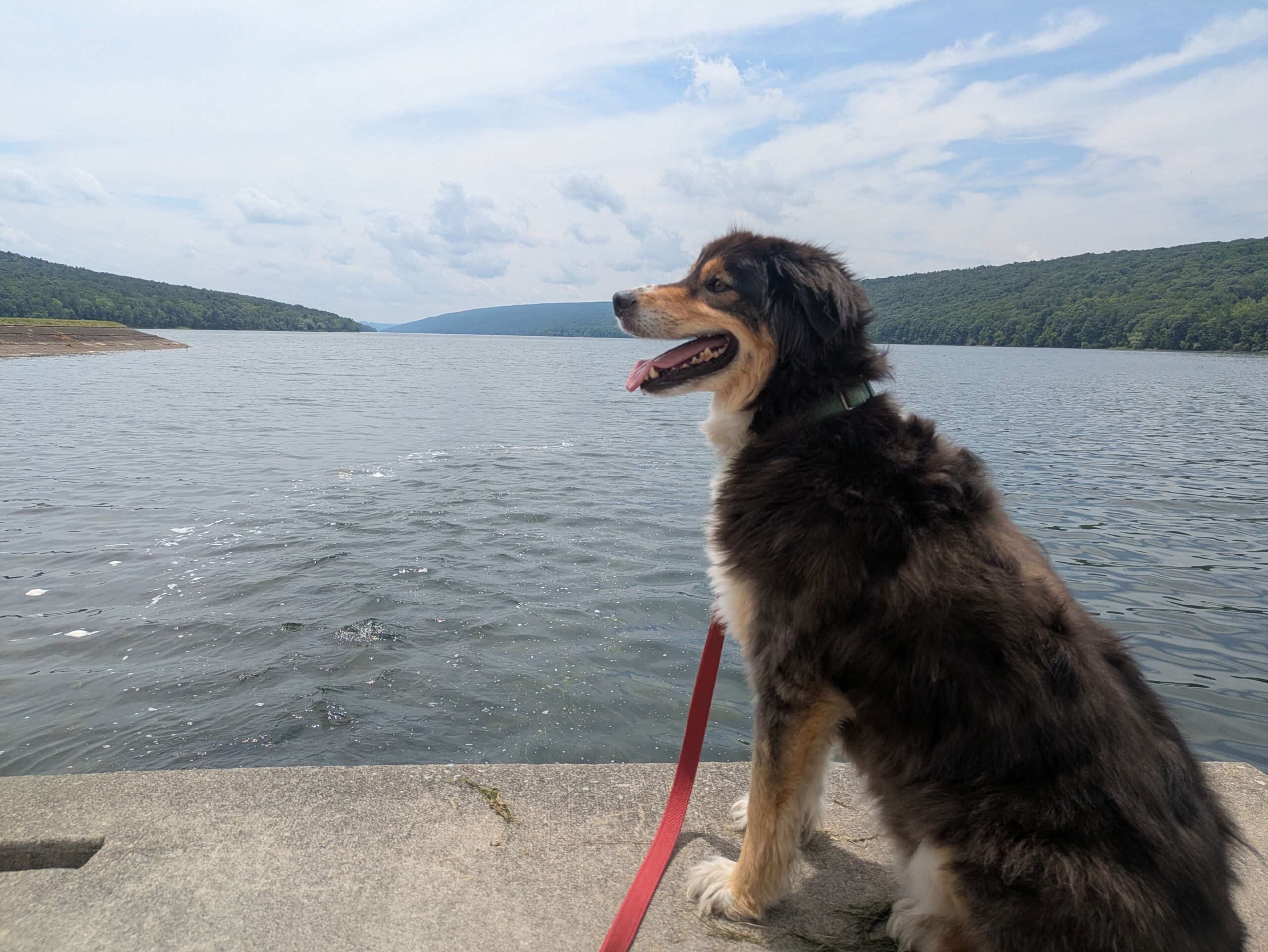 Administrator of this blog